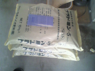 P1007527¥Ö¥é¥É¥ß¥ó¡¼£µ