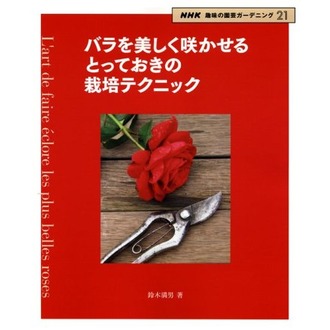 51yXov1OrPL__SS500_