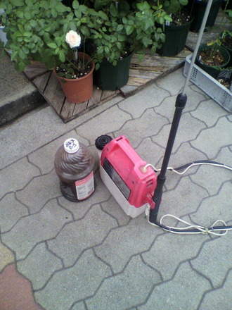 P1003365Ìڿݱդò»¶ÉÛ