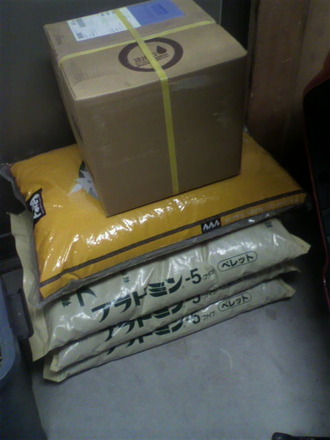 P1005460¥Ð¥é´ØÏ¢»ñºà