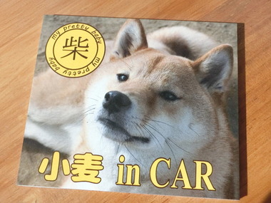 6118