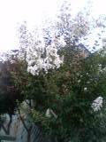 4d7723f6.jpg