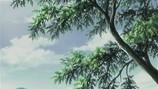 mushi05111306