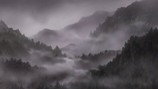 mushi51206003
