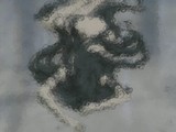 blood05102200