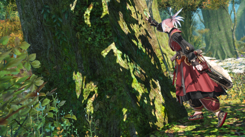 ffxiv_20181219_203623
