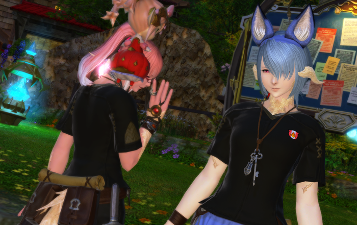 ffxiv_20170720_220559