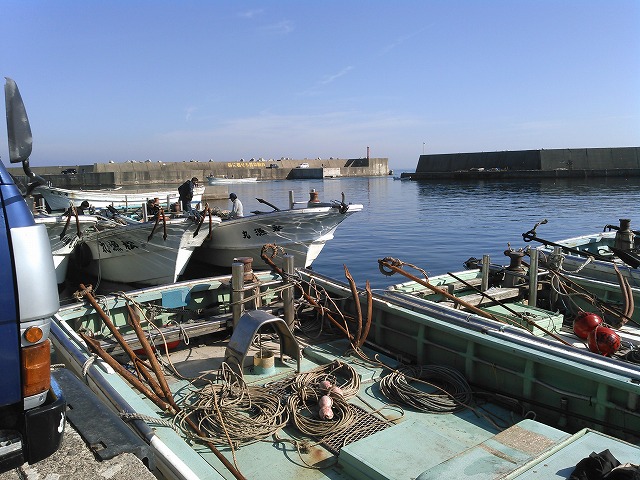 d8b811cb.jpg