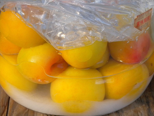 DSCN2612_3989umebosi2_Ed01