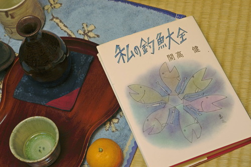 DSC_9489_715kaikou_Ed01