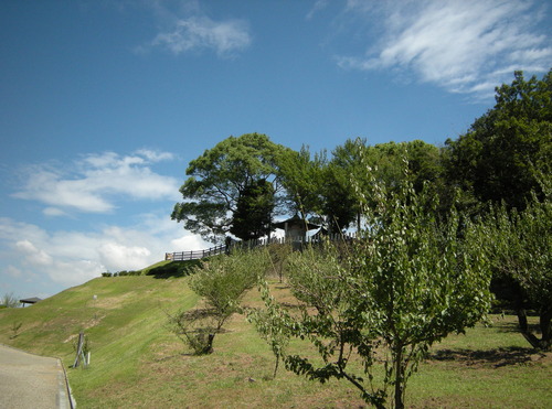 DSCN2705_531aitiyousujinnja_Ed01