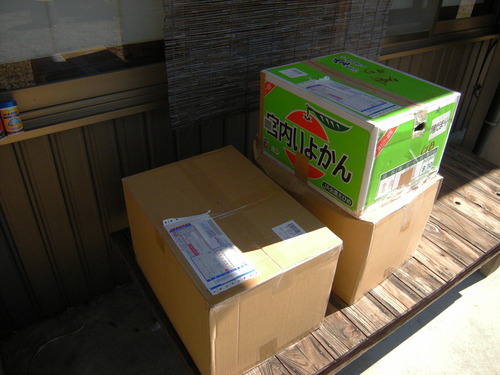 DSCN5853_4265souseki_Ed01