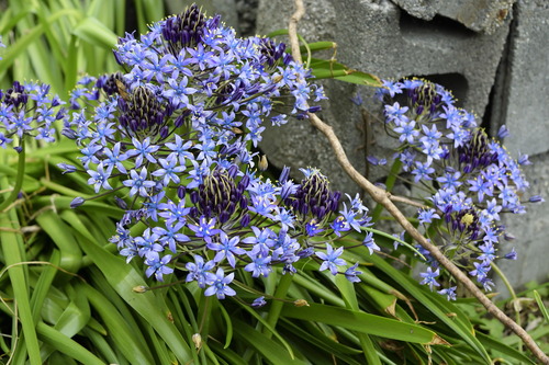 8test_Ed01
