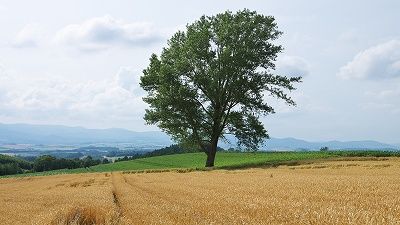 IMGP6417