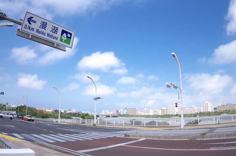 IMGP6337