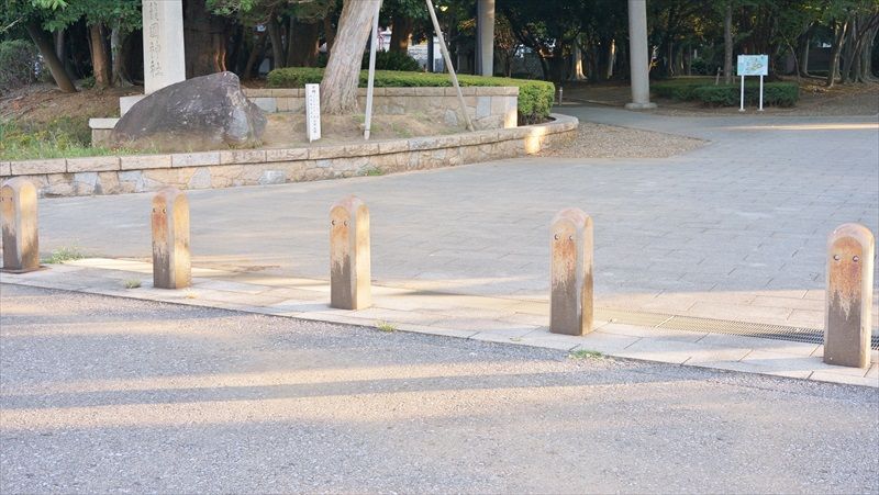 06