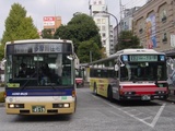 L19407