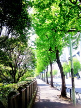 201004261335000_1