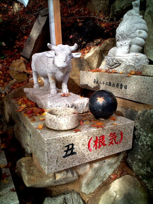 ��Ϻ˷�ܴ��� (1)