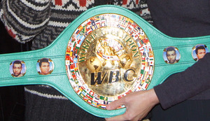 WBC���������ԥ���濵�𤵤� (7)