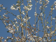 4月13日 047