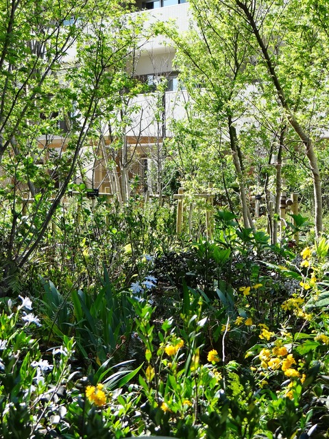 DSC00234