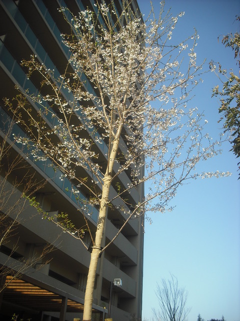 4月13日 046