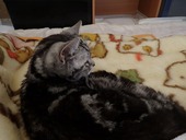 08