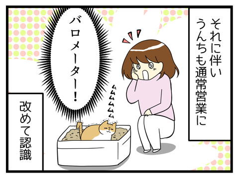 初めての動物病院続き