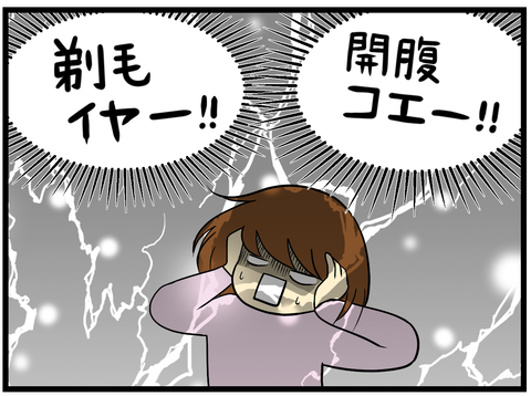 寄稿ひまわり用