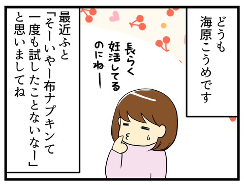 布ナプお試しレポ1_1