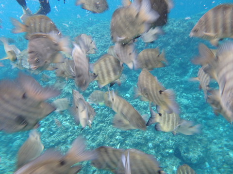 P1050170