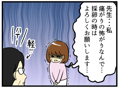 採卵日決定-1-_5
