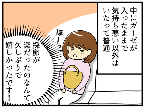 5回目の採卵日_-3-_3