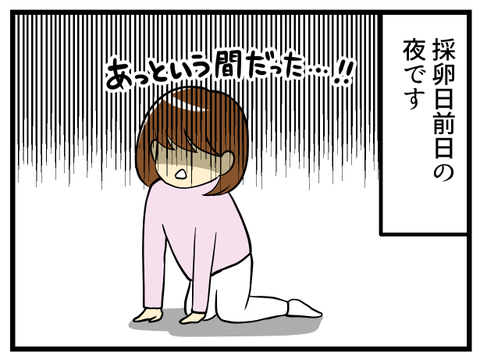 繊細全否定-採卵日前日ー_1