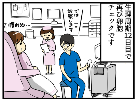 採卵日決定-1-_1
