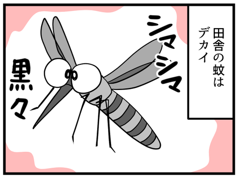 田舎の蚊_1