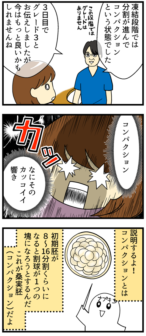 コンパクション_2