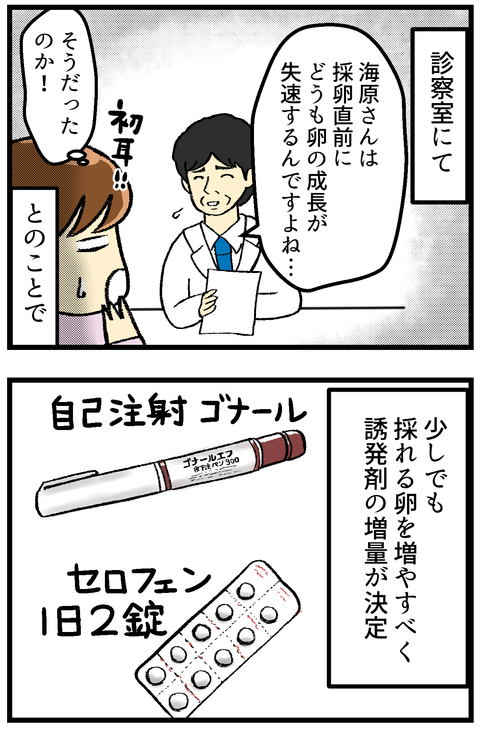 4回目の採卵周期_3