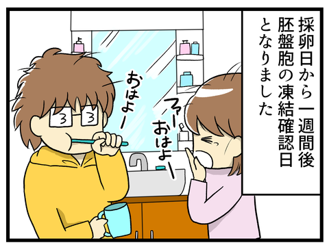 176話 胚盤胞凍結確認日-1-_1