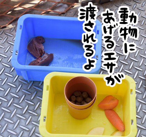 動物のえさ