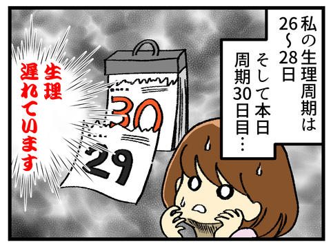 やるかやらざるか妊娠検査薬_1