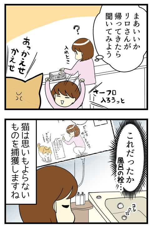 猫の不思議な戦利品漫画続き