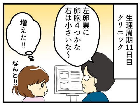 7回目の採卵日ダイジェスト-1-_1