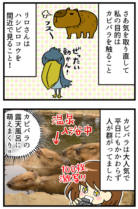 伊豆シャボテン_1_3
