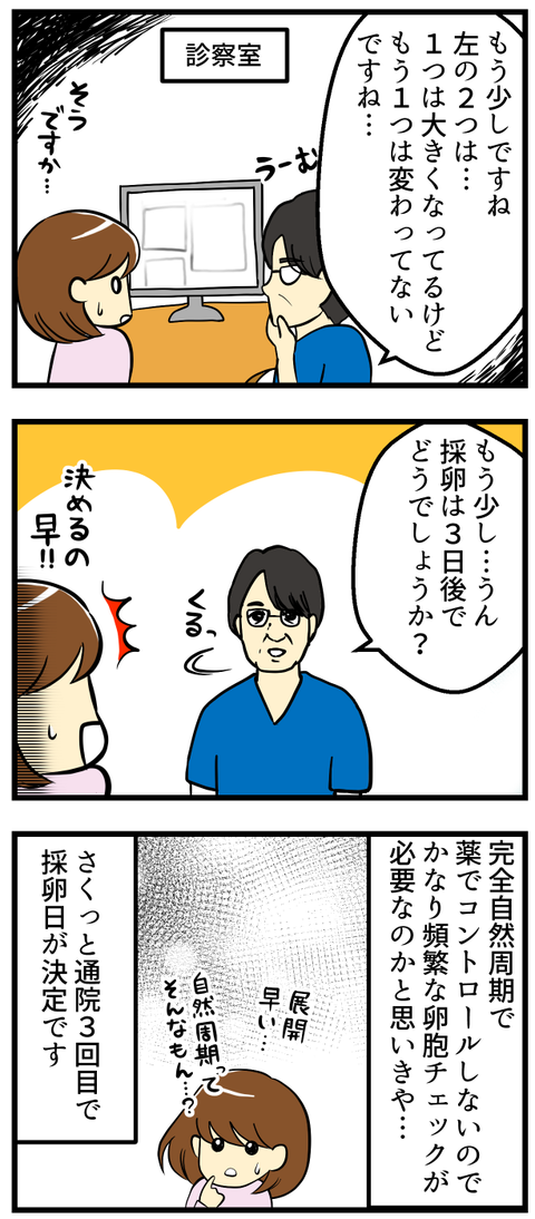 採卵日決定-1-_2