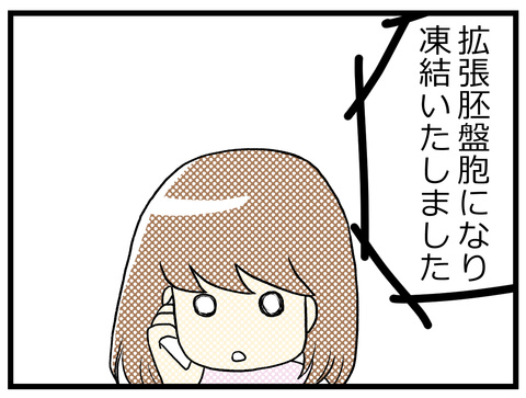 178話 胚盤胞凍結確認日-3-_1
