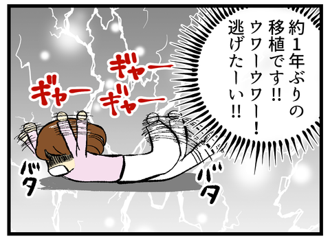 210話 採卵できるの?_8