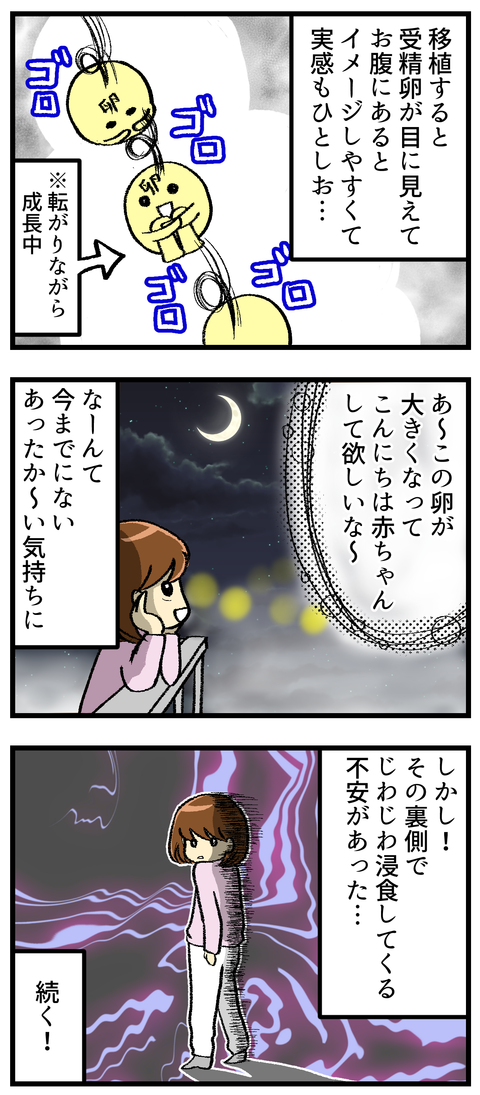移植周期の想い_2
