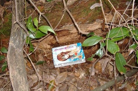 sutesuteioreru2